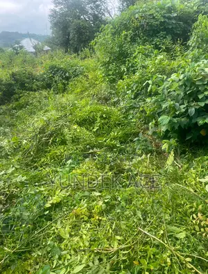 A Plot of Land 50x100ft in Iree, Osun State Close Ospoly Main Campus
