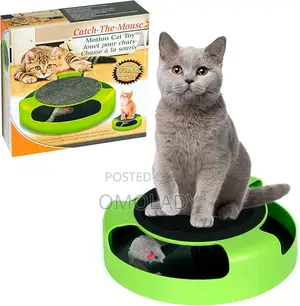 Catch the Mouse Cat Toy Cat Scratcher