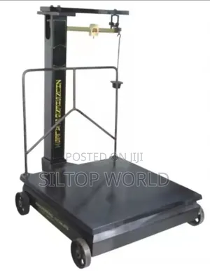 300kg Motor King Mechanical Scale
