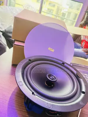 50watts Ceiling Speakers With Woofer