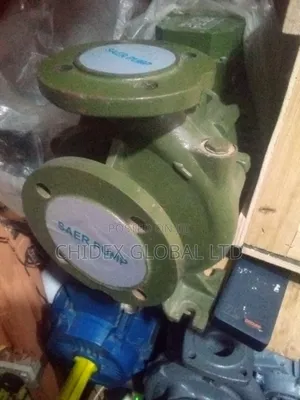 Original Brand New Saer Pump
