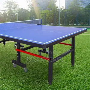 Table Tennis Board 1 Giant Rock Out Door