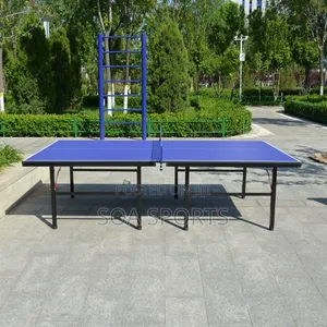 Table Tennis Board SMC Outdoor Giant Rock