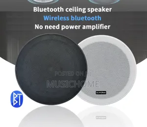 Black And White Ceiling Speaker Available