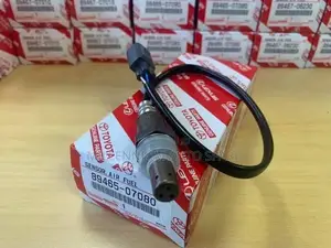 Oxygen Sensor