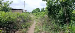 Two Plot of Land at Akobo Olorunda