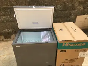 Cold Storage Made Easy With Hisense Fc-260sh Chest Freezer