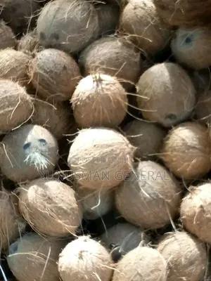 Coconuts Cotedivoure And Ghana