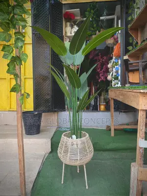 Basket Pot and Big Flower