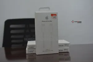 iPhone 16 Pro Charger