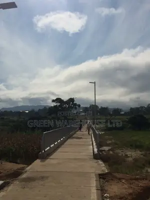 Qualilty Solar Light