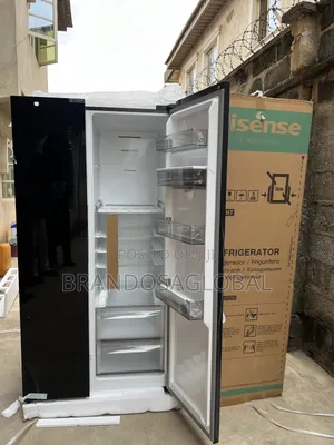 Energy Efficient Hisense 529l Side by Side With Led Display