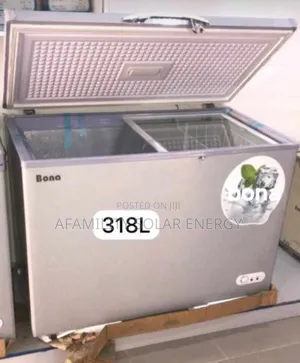 318l Bona Freezers Ac Dc