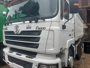 New Arrival F3000 Shacman Ten Tyres Dump Truck With Superb 380 Engine