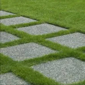 Grass Carpet 30mm