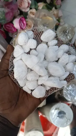 Pebbles Natural Stones