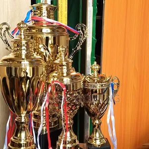 Unique Trophies Cup With Quality Qps345