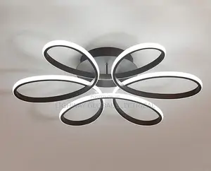 Ceiling Fitting