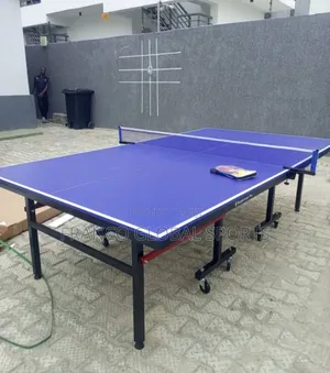 Professional Outdoor/Indoor Tennis Table