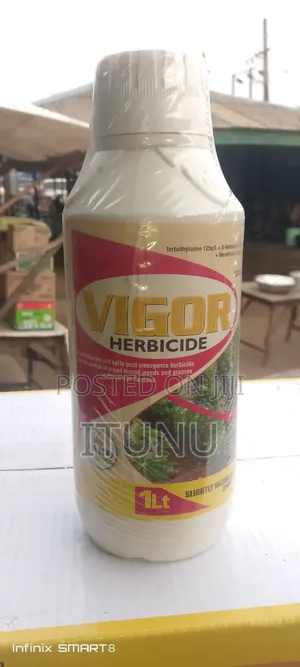 Vigor Herbicide for Maize, Cassava Farm