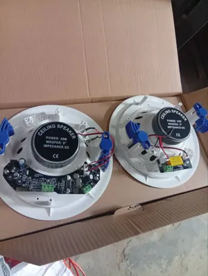 Tundra Ceiling Speaker With Bluetooth