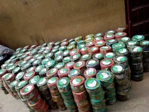 Lagostar Conduit Cables