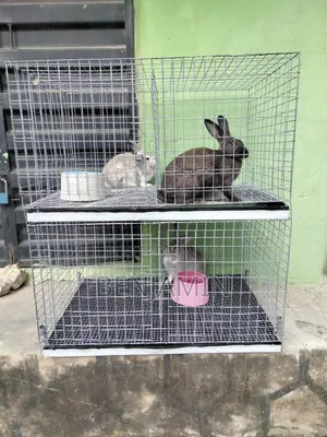 Double Decker Rabbit Cage (4 Rooms)