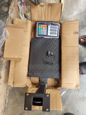Electronic Digital Scale 