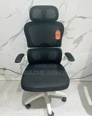 Executive Orthopedic Office Chair Available as Seen
