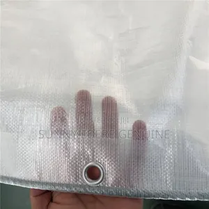 Greenhouse Green House Cover
