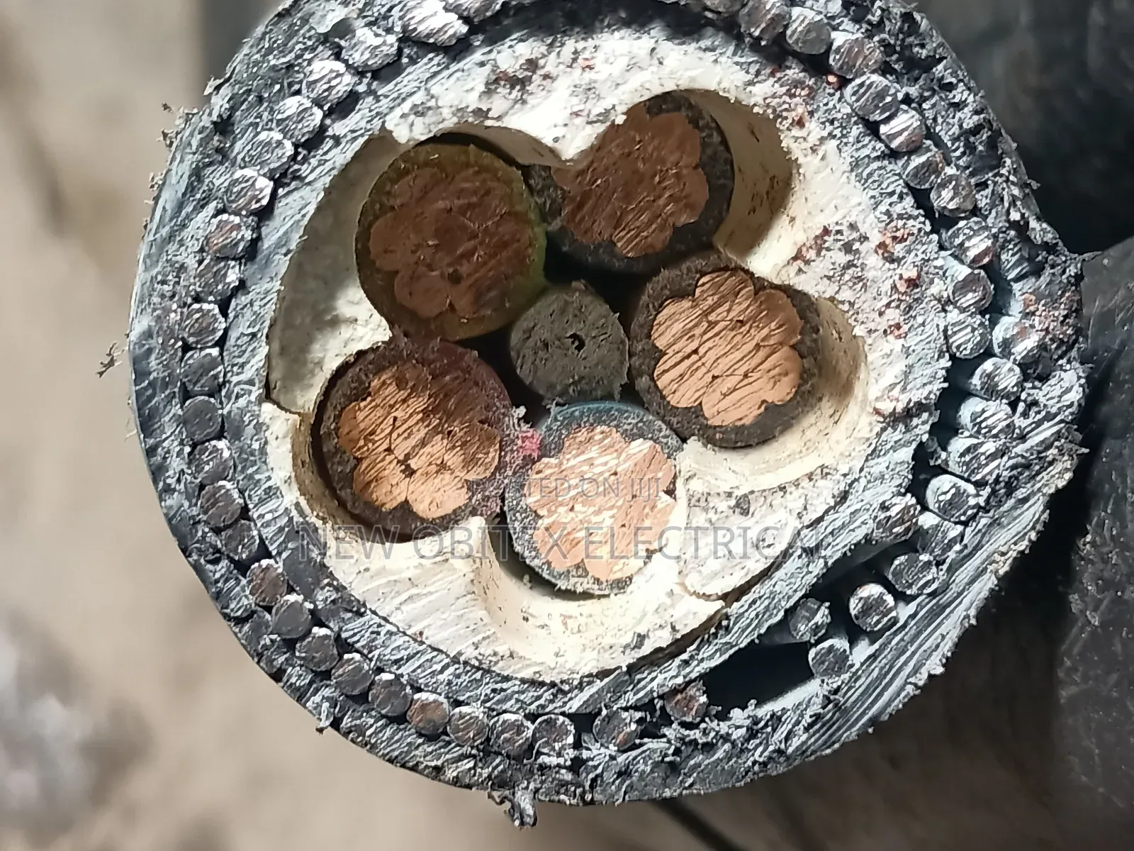 Armored Cable