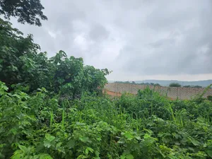 250 Acres of Industrial Land
