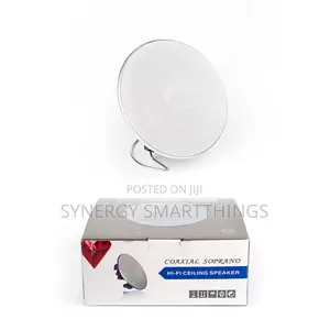 Hi-Fi 5inch 40w Passive Ceiling Speaker