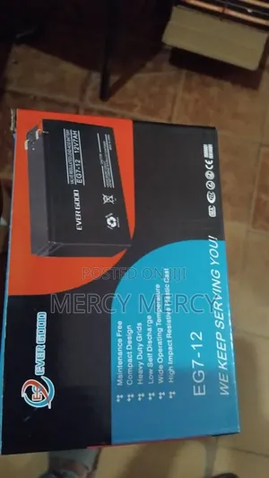 Evergood Ups Battery 12v 5am