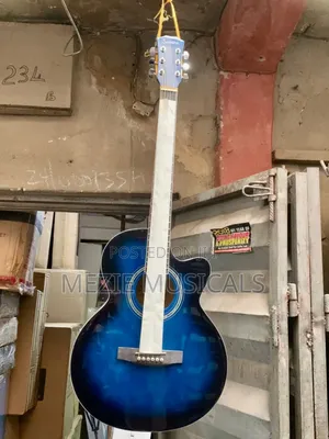 Acoustic Guitar