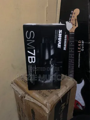 Studio Microphone