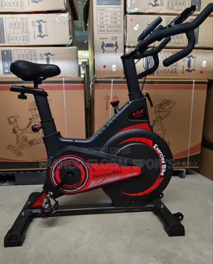 Exercise Bike for Home, Stationary Indoor Cycling Bike Cardio Gym
