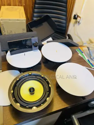 120 Watts 8 Inches Ceiling Speaker and 7 Inch Alexia Smart Amplifier