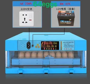 Solar Incubator