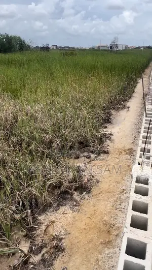 Allocated, Rafted and Sand Filled Plot of Land