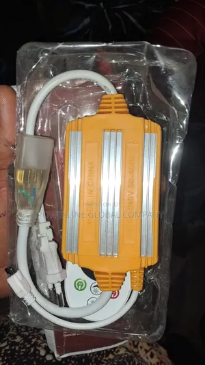 Remote Plug for Multiple Rope Light/ Neon Light Get From Powerline