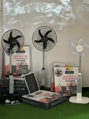 Ac/Dc Rechargeable Smart Standing Fan