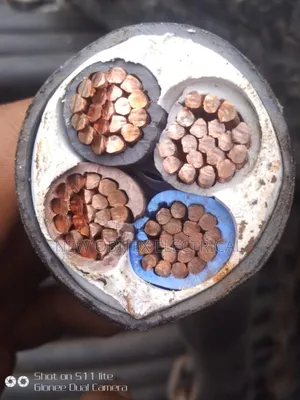 Armored Cable
