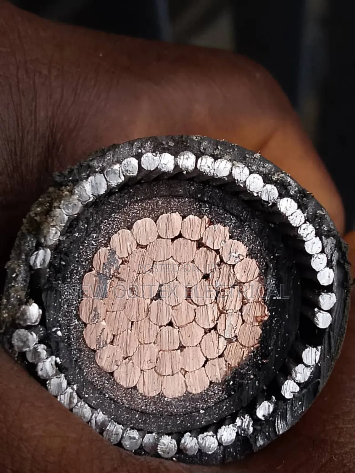 Armored Cable
