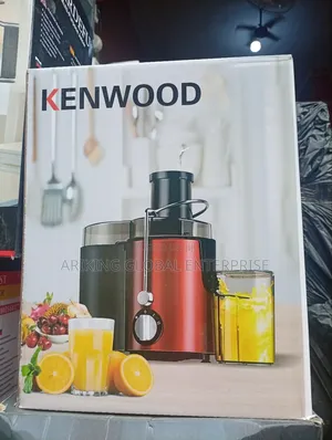 Professional Electric Automatic Fruit Extractor.