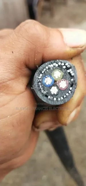 4x10mm Coleman Wire and Cable Nigeria Armourd