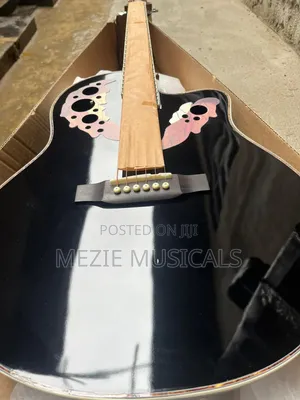 Semi Acoustic Guitar
