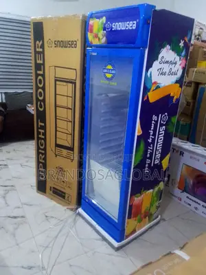 300 Litres Snowsea Chiller – Affordable Durable