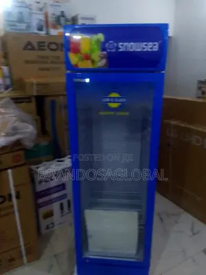 Snowsea Chiller Lc-300 – Ideal for Business Use