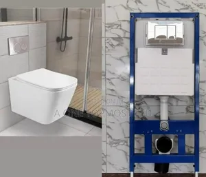 Water Closet (Wall Hung)